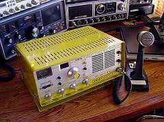 Click to view webpage for robyn-t240-yellowbird